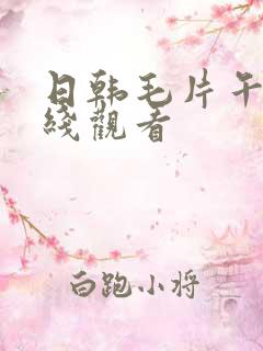 日韩毛片午夜在线观看