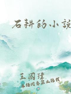 石耕的小说