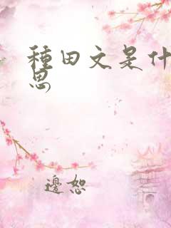 种田文是什么意思