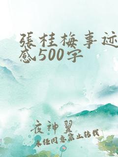 张桂梅事迹观后感500字