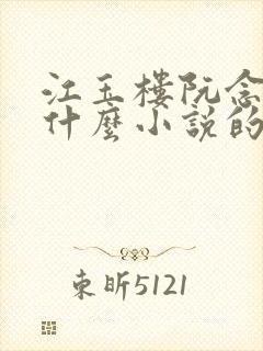 江玉楼阮念笙是什么小说的名字