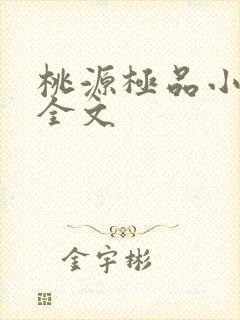 桃源极品小仙医全文