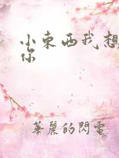 小东西我想弄坏你