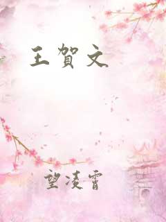 王贺文