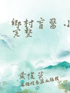 乡村盲医 小说完整