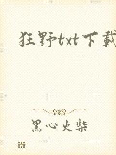 狂野txt下载