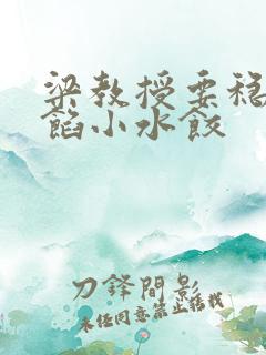 梁教授要稳住肉馅小水饺