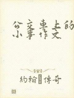 公交车上的那些小事作文