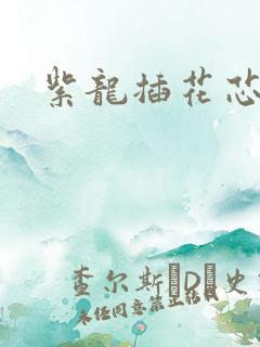 紫龙插花芯方正