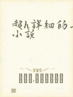 超h详细的长篇小说