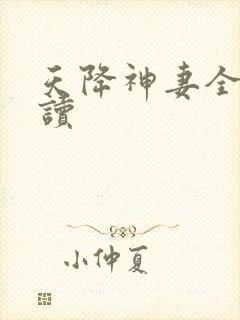 天降神妻全文阅读