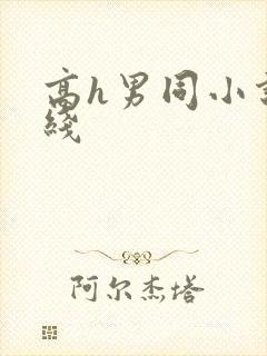 高h男同小说在线