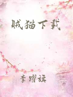贼猫下载