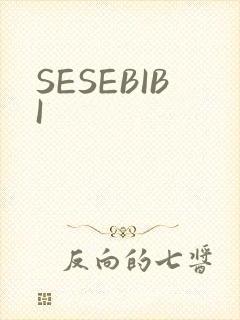 SESEBIBI
