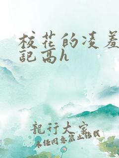 校花的凌羞辱日记高h