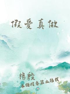 假爱真做