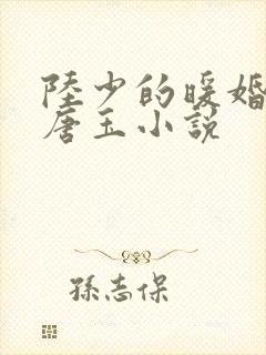 陆少的暖婚新妻唐玉小说