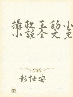 摄政王的小闲妻小说全文免费阅读