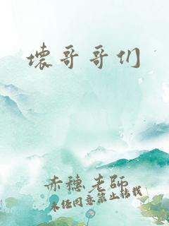 坏哥哥们