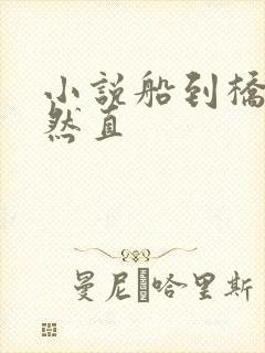 小说船到桥头自然直