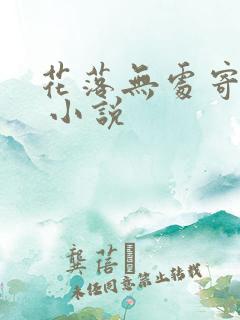 花落无处寄相思 小说