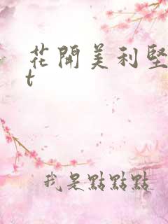 花开美利坚txt