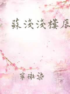 苏浅浅楼辰皓