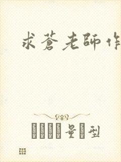 求苍老师作品