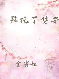 拜托了双子星