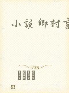 小说 乡村盲医