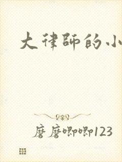 大律师的小老婆
