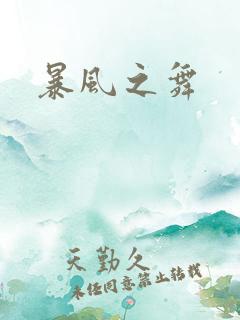 暴风之舞