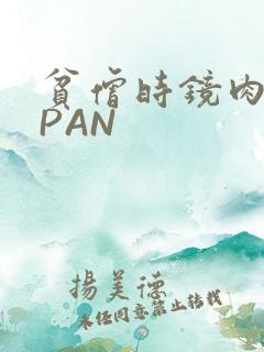 贫僧时镜肉补全PAN