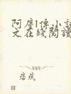 阿庆l传小说全文在线阅读