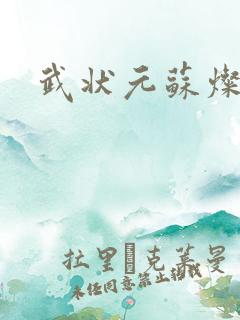 武状元苏灿