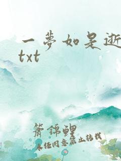 一梦如是逝水长txt