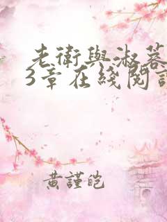 老卫与淑蓉第13章在线阅读