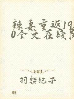 辣妻重返1980全文在线阅读
