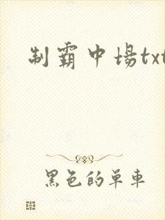 制霸中场txt