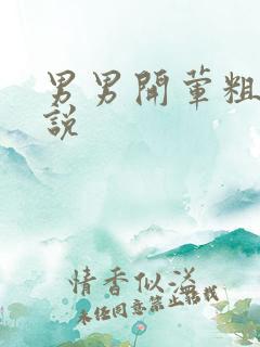男男开荤粗肉小说