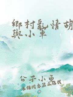 乡村乱情胡秀英与小军