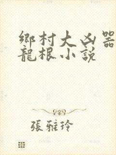 乡村大凶器傻子龙根小说