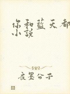 你和蓝天都重要小说
