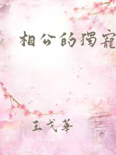 相公的独宠妻子