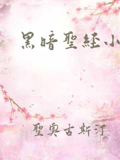 黑暗圣经小说