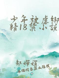 少年被虐绑着榨精18禁小说