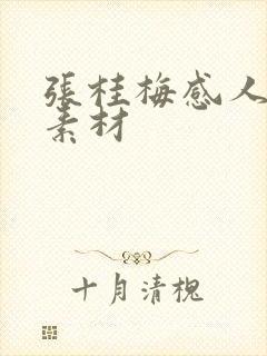 张桂梅感人作文素材
