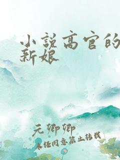 小说高官的暗夜新娘