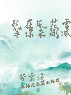 我在风花雪月里等你未删减