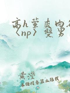 高h荤爽肉欲文〈np〉双男